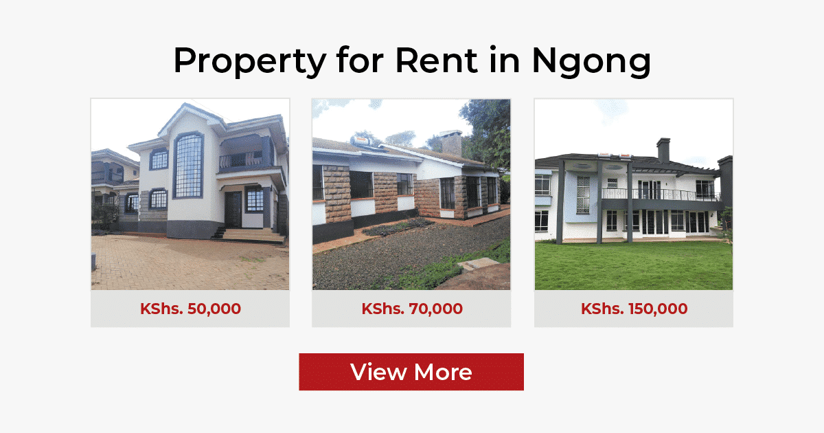 property for rent in ngong