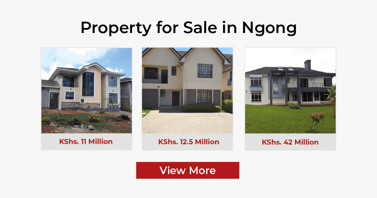 property for sale in ngong