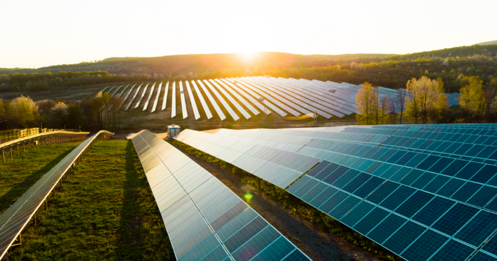 Solar panels help conserve the environment