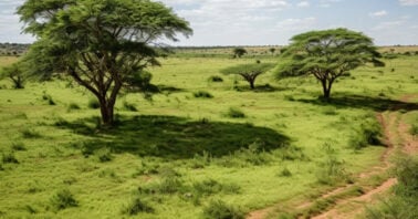 Land banking in Kenya - The benefits, advantages and disadvantages.