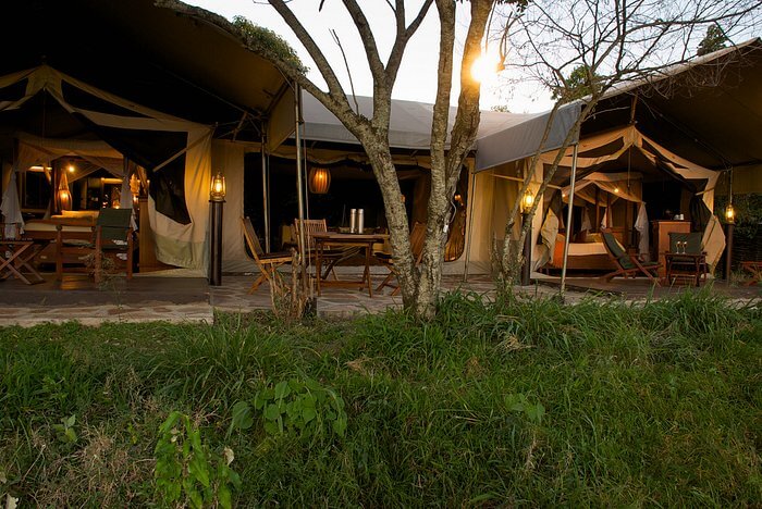 Mara Intrepids is a luxury tented camp in the famous Masai Mara in Kenya